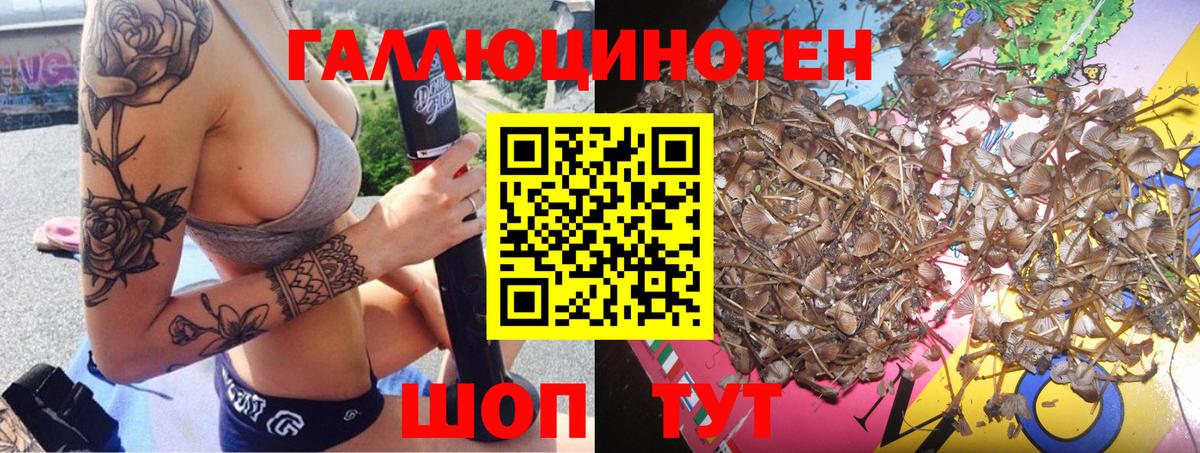Псилоцибиновые грибы мицелий Торжок