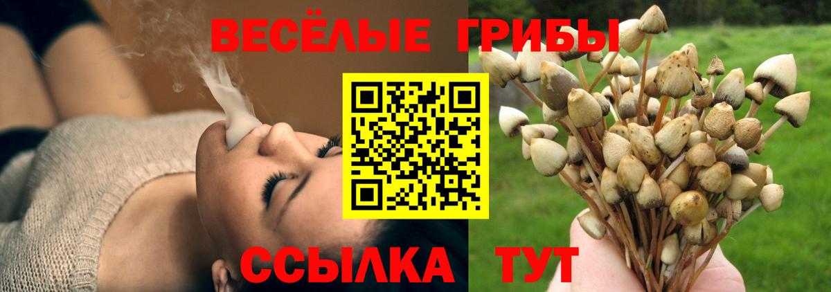 Торжок  Псилоцибиновые грибы MAGIC MUSHROOMS  магазин продажи   Вход с VPN 